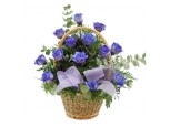 Blue by You - 12 Stems In Basket